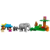 LEGO® DUPLO Jungle 10804 (8/12)