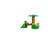 LEGO® DUPLO Jungle 10804 (9/12)