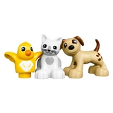 LEGO® DUPLO Family Pets 10838 (10/11)