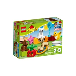 Family Pets 10838