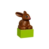 LEGO® DUPLO Family Pets 10838 (3/11)