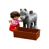 LEGO® DUPLO® Le poney-club de la ferme 10868 (6/9)