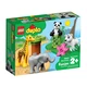 Baby Animals 10904 thumbnail-0