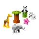 Baby Animals 10904 thumbnail-1