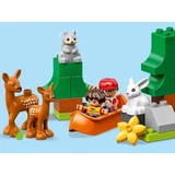 LEGO® DUPLO World Animals 10907 (6/9)