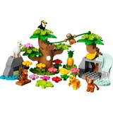 LEGO® DUPLO® Animaux sauvages d’Amérique du Sud 10973 (2/6)