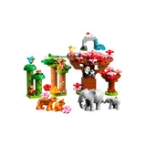 LEGO® DUPLO® Wilde Tiere Asiens 10974 (3/7)