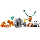 LEGO® DUPLO® Wilde Tiere Asiens 10974 (4/7)