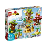 LEGO® DUPLO® Wilde Tiere der Welt 10975 (1/8) LEGO® DUPLO® Wilde Tiere der Welt 10975 (1/8)