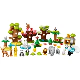 LEGO® DUPLO® Wilde Tiere der Welt 10975 (2/8) LEGO® DUPLO® Wilde Tiere der Welt 10975 (2/8)