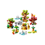 LEGO® DUPLO® Wilde Tiere der Welt 10975 (3/8) LEGO® DUPLO® Wilde Tiere der Welt 10975 (3/8)