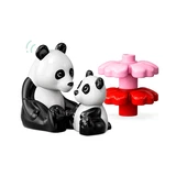 LEGO® DUPLO® Wilde Tiere der Welt 10975 (6/8) LEGO® DUPLO® Wilde Tiere der Welt 10975 (6/8)