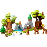 LEGO® DUPLO Wild Animals of Europe 10979 (2/7)