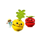 LEGO® DUPLO Fruit and Vegetable Tractor 10982 (4/8)