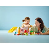 LEGO® DUPLO® Biogarten 10984 (10/11)