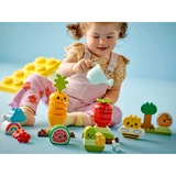 LEGO® DUPLO® Biogarten 10984 (11/11)