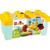 LEGO® DUPLO® Biogarten 10984 (1/11)