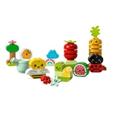 LEGO® DUPLO® Biogarten 10984 (2/11)