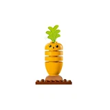 LEGO® DUPLO® Biogarten 10984 (4/11)
