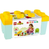 LEGO® DUPLO® Biogarten 10984 (9/11)