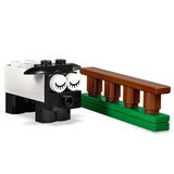 LEGO® Classic La boîte de briques et d'yeux 11003 (9/16)
