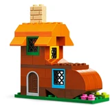 LEGO® Classic Les fenêtres créatives 11004 (9/14)