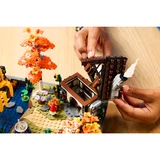 LEGO® Icons Herbstlicher Landhausgarten 11372 (11/16)