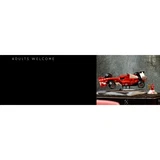LEGO® Icons Ferrari F2004 & Michael Schumacher 11375 (37/37) LEGO® Icons Ferrari F2004 & Michael Schumacher 11375 (37/37)
