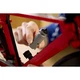 Rennrad 11380 thumbnail-11