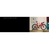 LEGO® Icons Racefiets 11380 (42/42)