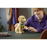 LEGO® Icons Golden retriever puppy 11384 (10/21)