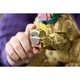 Golden Retriever Welpe 11384 thumbnail-12