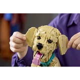 LEGO® Icons Golden retriever puppy 11384 (14/21)