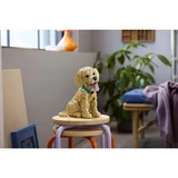 LEGO® Icons Golden retriever puppy 11384 (16/21)