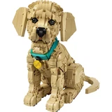 LEGO® Icons Golden retriever puppy 11384 (2/21)