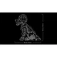 Golden Retriever Welpe 11384 thumbnail-2