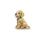 Golden Retriever Welpe 11384 thumbnail-7