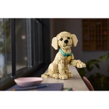 LEGO® Icons Golden retriever puppy 11384 (9/21)