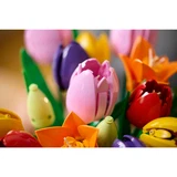 LEGO® Animal Crossing Boeket met tulpen 11501 (10/13) LEGO® Animal Crossing Boeket met tulpen 11501 (10/13)