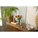 Le bouquet de tulipes 11501 thumbnail-3