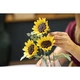 Boeket met zonnebloemen 11502 thumbnail-9 Boeket met zonnebloemen 11502 thumbnail-9