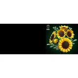 LEGO® Botanicals Le bouquet de tournesols 11502 (26/37) LEGO® Botanicals Le bouquet de tournesols 11502 (26/37)
