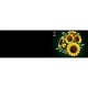 Boeket met zonnebloemen 11502 thumbnail-26 Boeket met zonnebloemen 11502 thumbnail-26