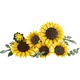Boeket met zonnebloemen 11502 thumbnail-36 Boeket met zonnebloemen 11502 thumbnail-36