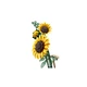 Boeket met zonnebloemen 11502 thumbnail-5 Boeket met zonnebloemen 11502 thumbnail-5
