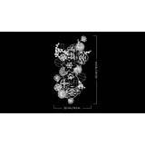 LEGO® Botanicals Flower Wall 11503 (7/19) LEGO® Botanicals Flower Wall 11503 (7/19)