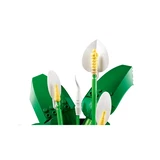 LEGO® Animal Crossing Friedenslilie 11504 (5/15) LEGO® Animal Crossing Friedenslilie 11504 (5/15)