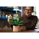 Friedenslilie 11504 thumbnail-8