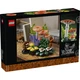 Bospaddenstoelen 11505 thumbnail-13 Bospaddenstoelen 11505 thumbnail-13