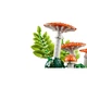 Bospaddenstoelen 11505 thumbnail-4 Bospaddenstoelen 11505 thumbnail-4